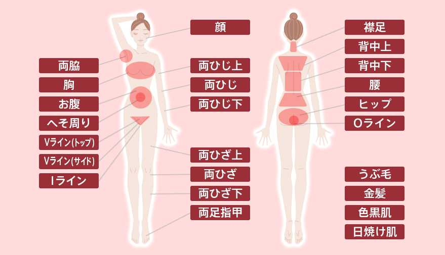dottoMoveは全身の脱毛が可能