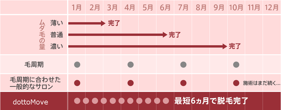 脱毛完了までと来店スケジュールのイメージ
