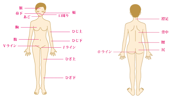 depilation_main_body_yoko